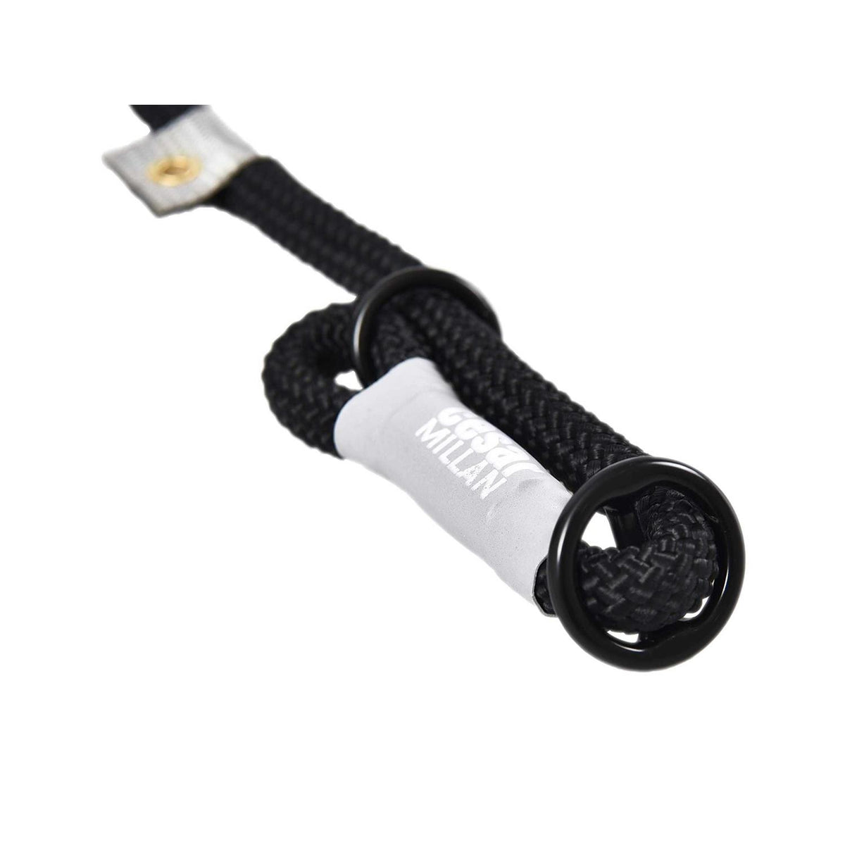 2-in-1 Slip Collar Dog Training Lead & Collar T586