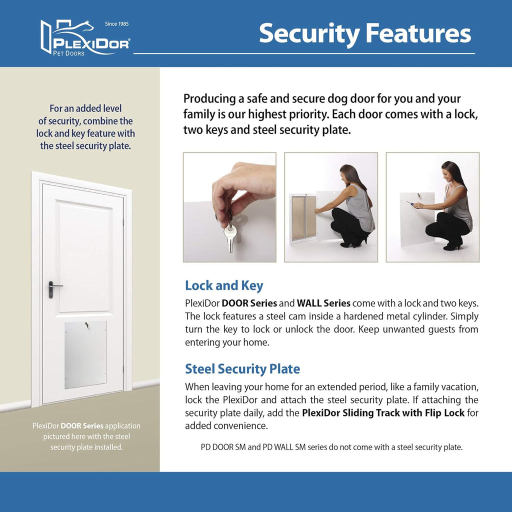 Bronze Small Pet Door with Lock and Key C7383