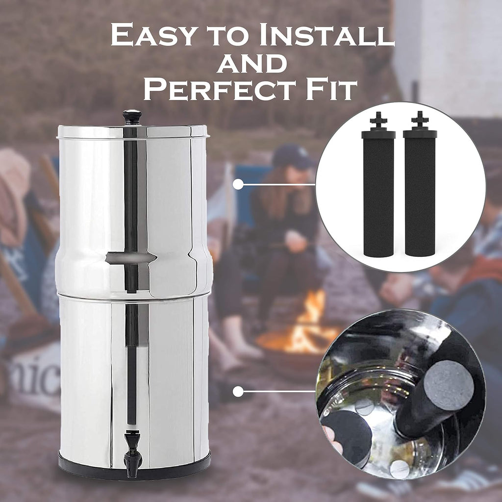 2 Pack Water Filter Purification Elements K737654