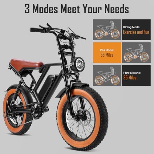 1000W 20" Fat Tire 48V 17.5AH Removable Battery Electric Bike S27127