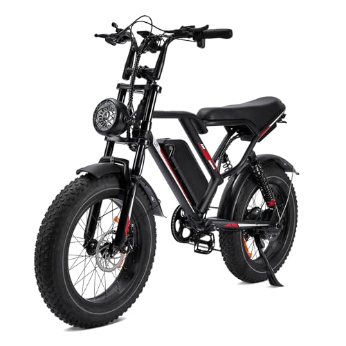 1000W 20" Fat Tire 48V 17.5AH Removable Battery Electric Bike S27127