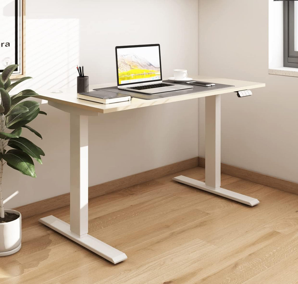 Dual Motor Sit Stand Desk 48 x 24 Inches Height Adjustable Electric Standing Desk with 3 Memory Preset Controller S44447