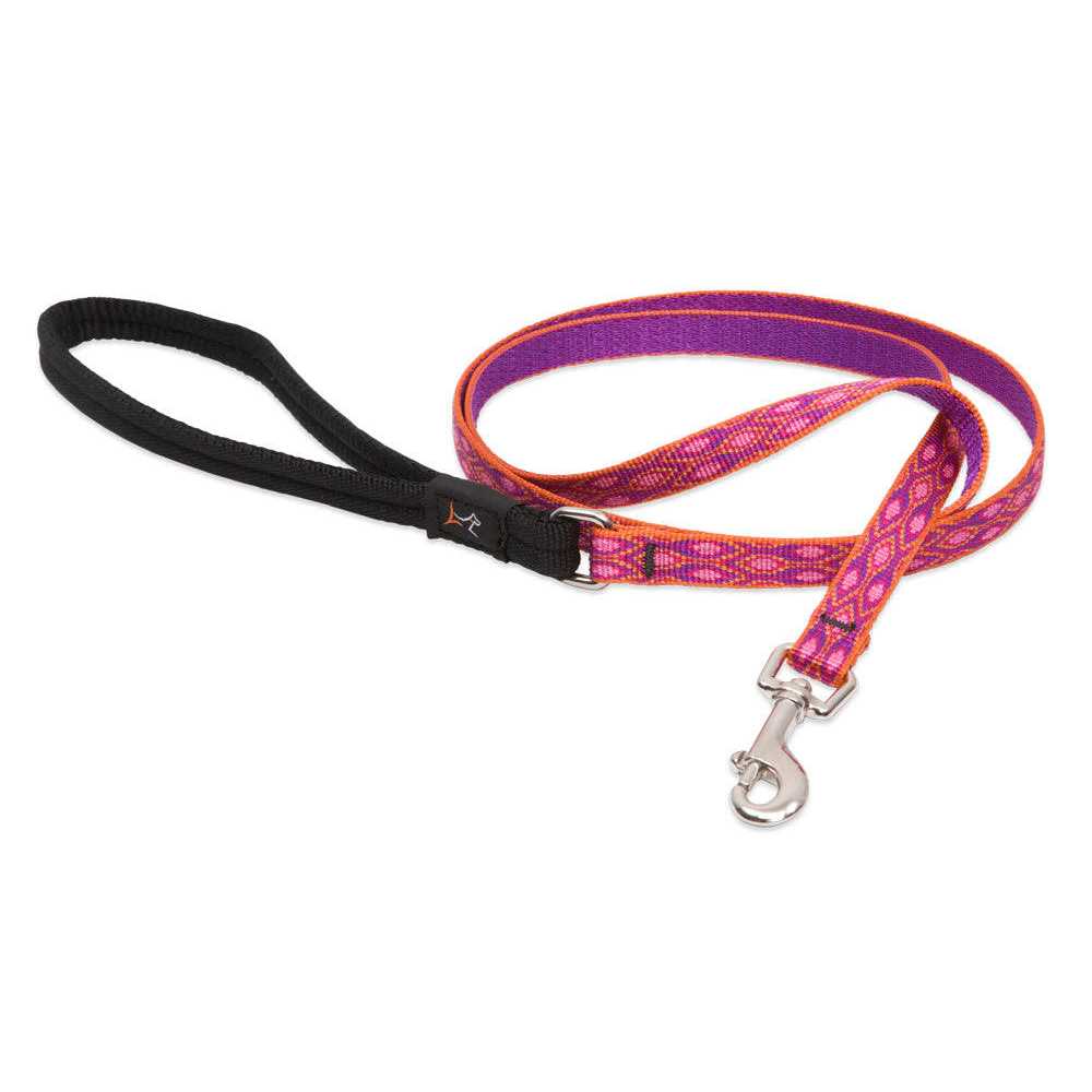 Leash Q604