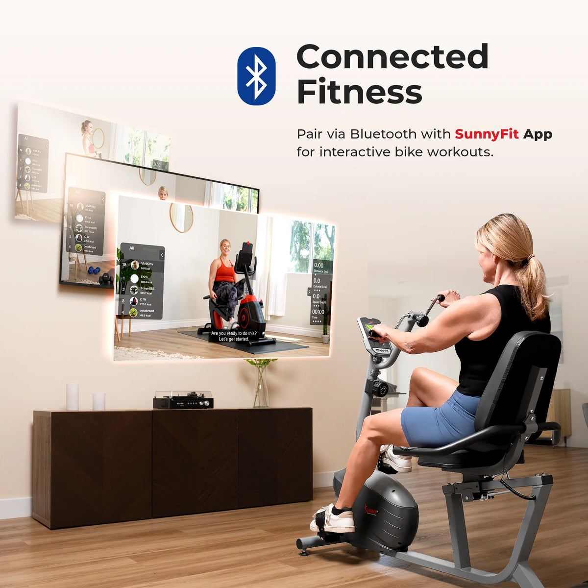 Recumbent Bike with Hand Cycle V210