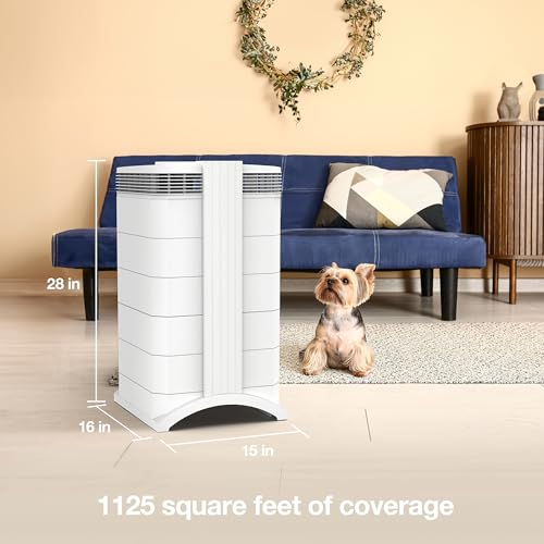 Compact Air Purifier with HyperHEPA Filtration S593