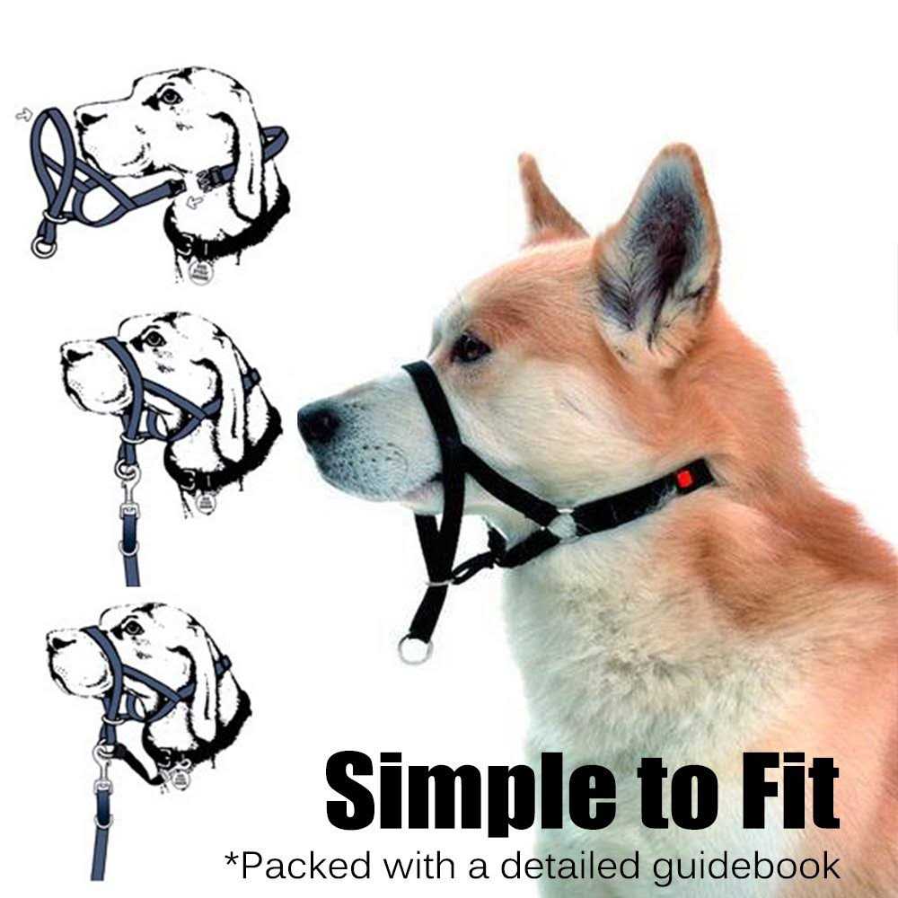Dog Head Collar No Pull Training Tool L5763