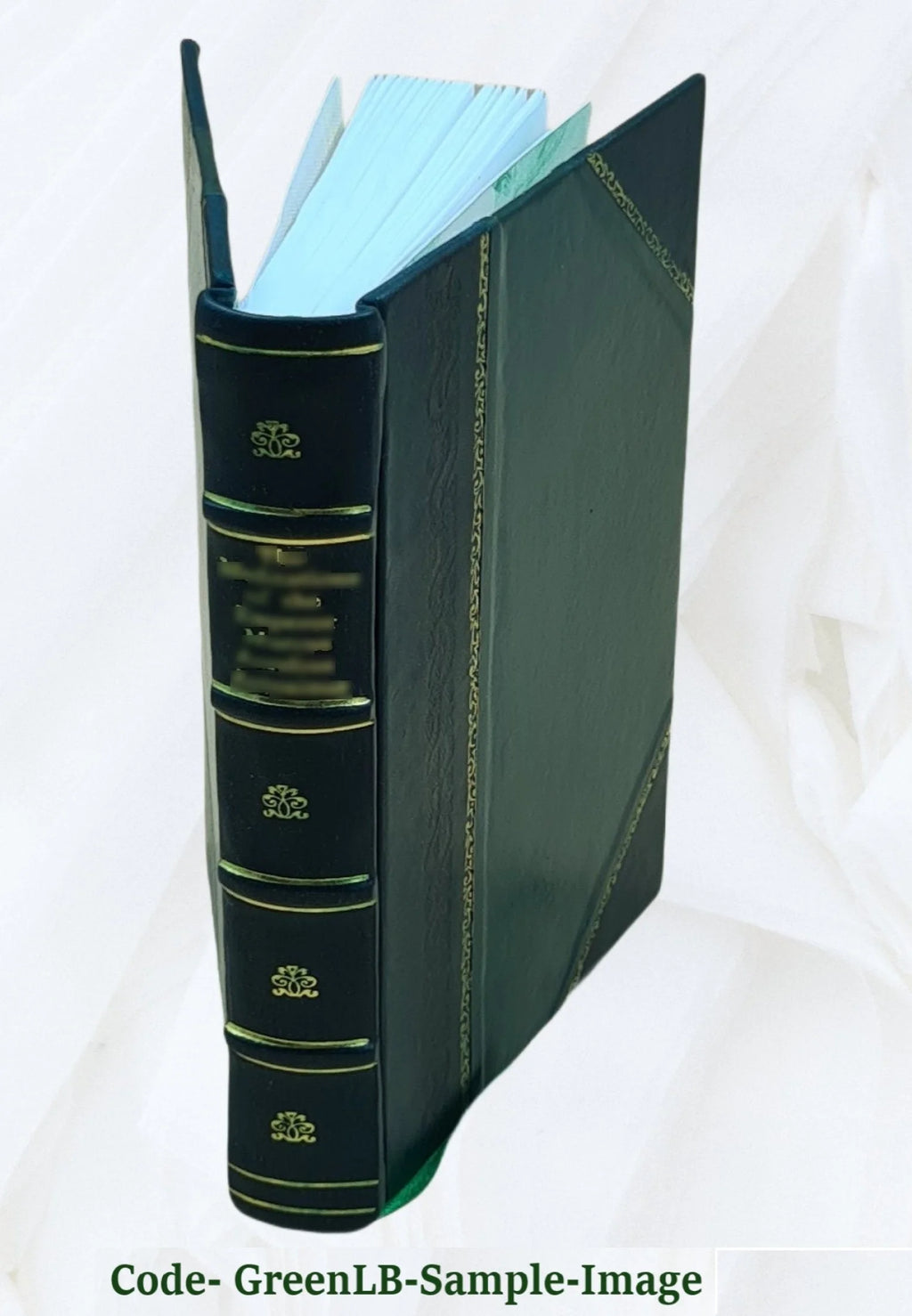 Leather Bound T26431