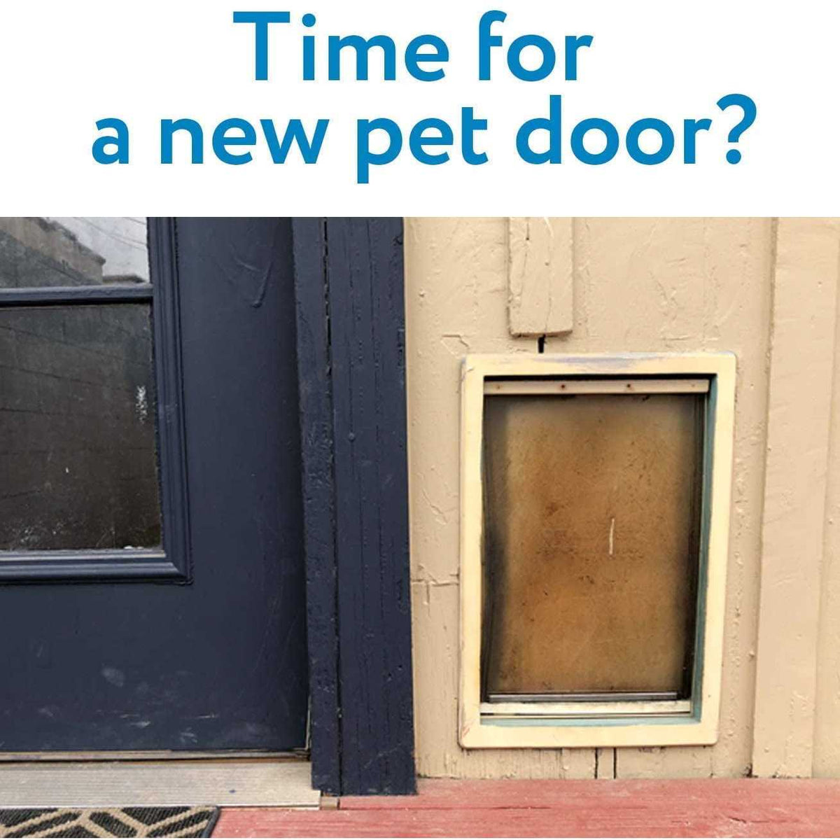 Medium Replacement Dog Door Flap S684160