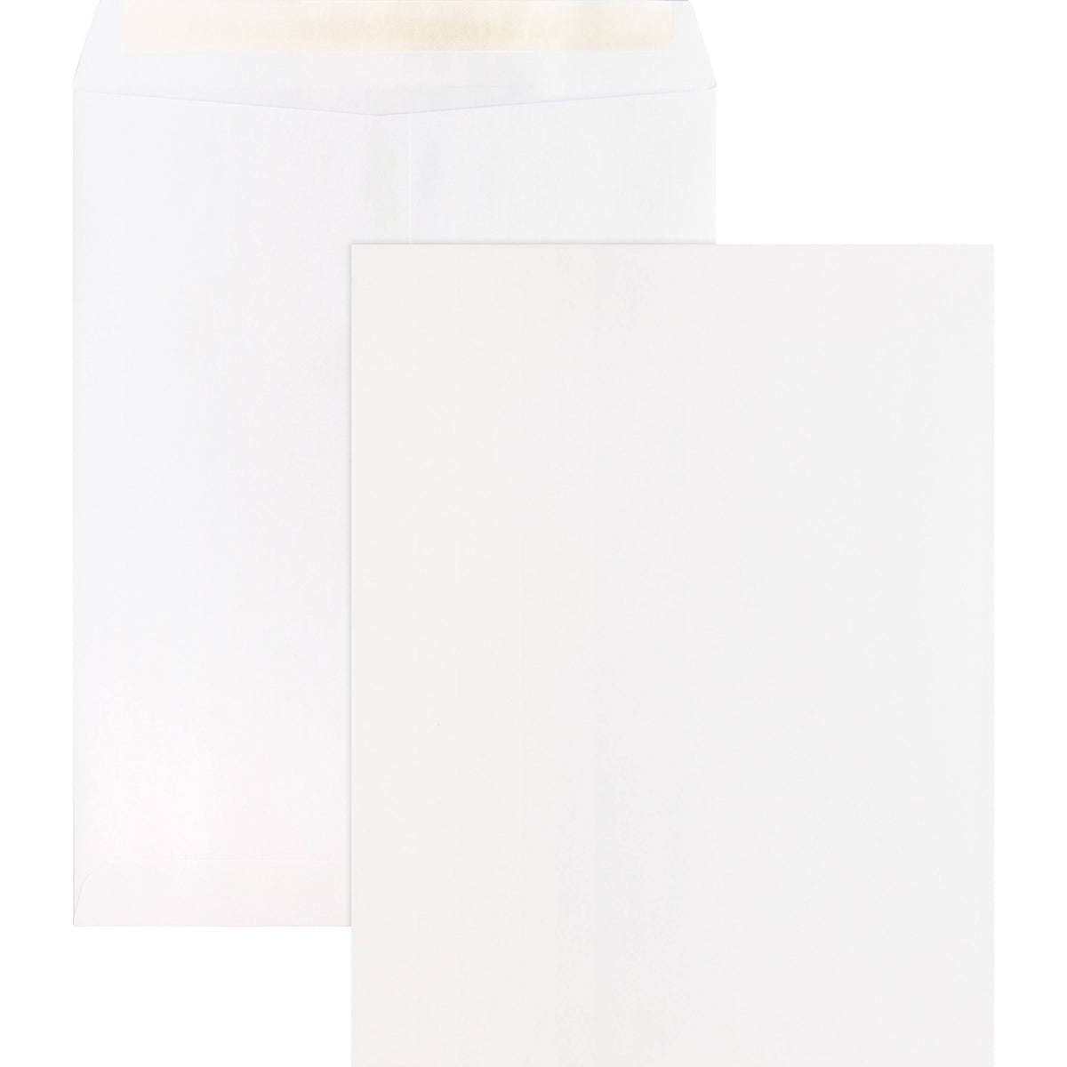 White Removable Strip Catalog Envelopes, 100 count Q8115
