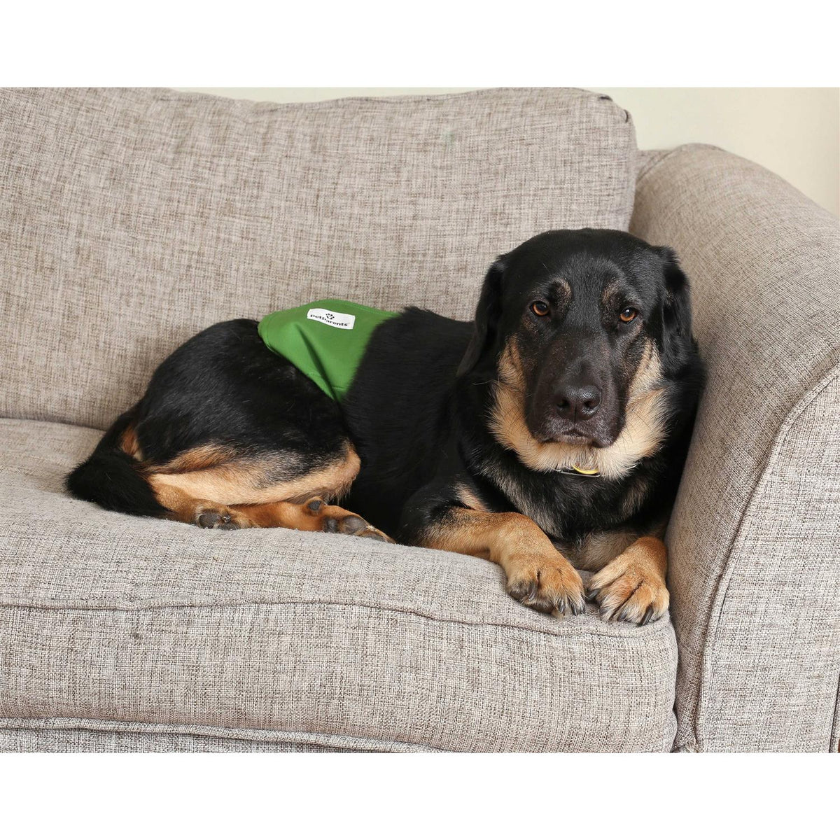 Washable Dog Belly Bands W905702