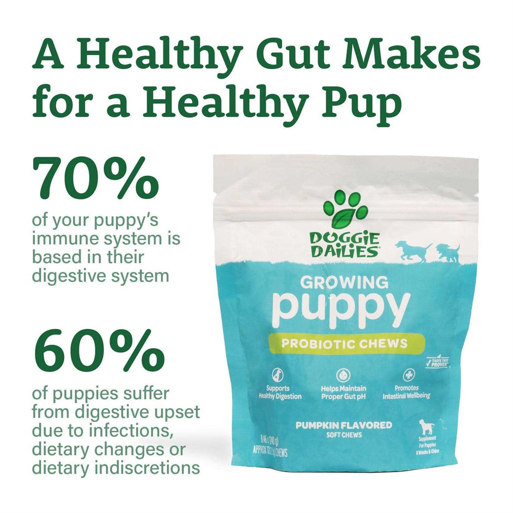 Puppy Probiotic with Digestive Enzymes A957