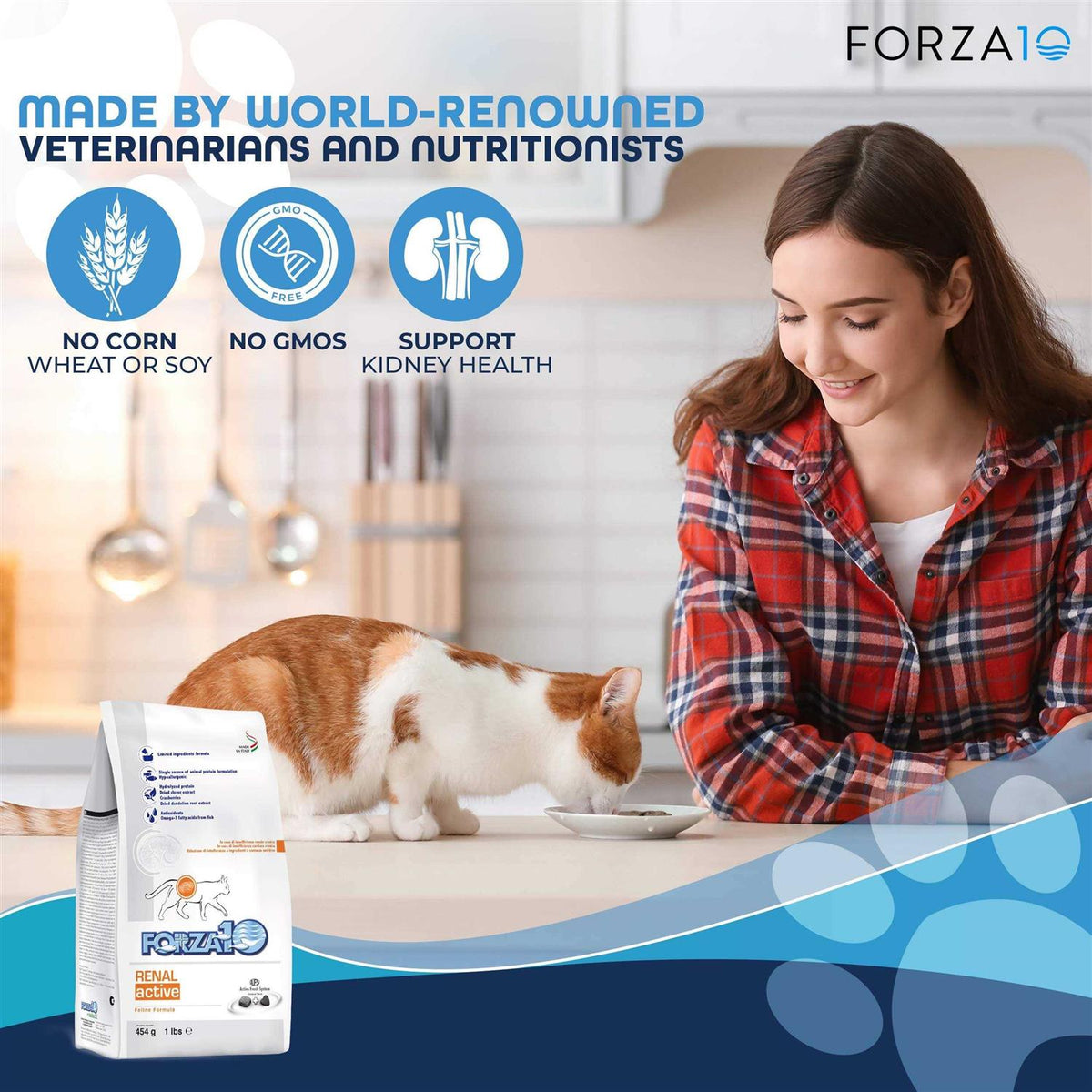 Kidney Support Diet Dry Cat Food T9886