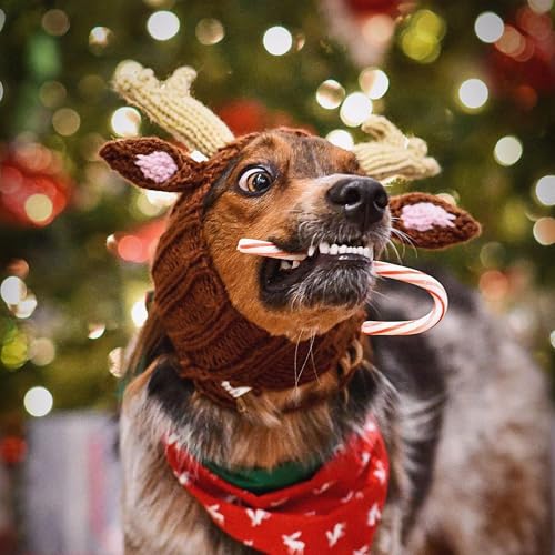 Knit Deer Antler Snood Wrap for Pets P65245
