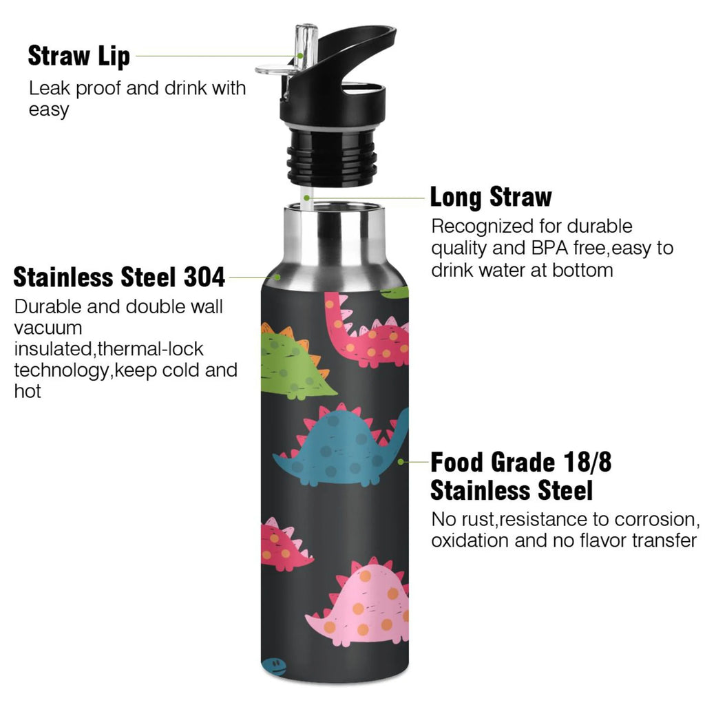 Rainbow Dinosaur Stainless Steel Insulated Water Bottle B54119