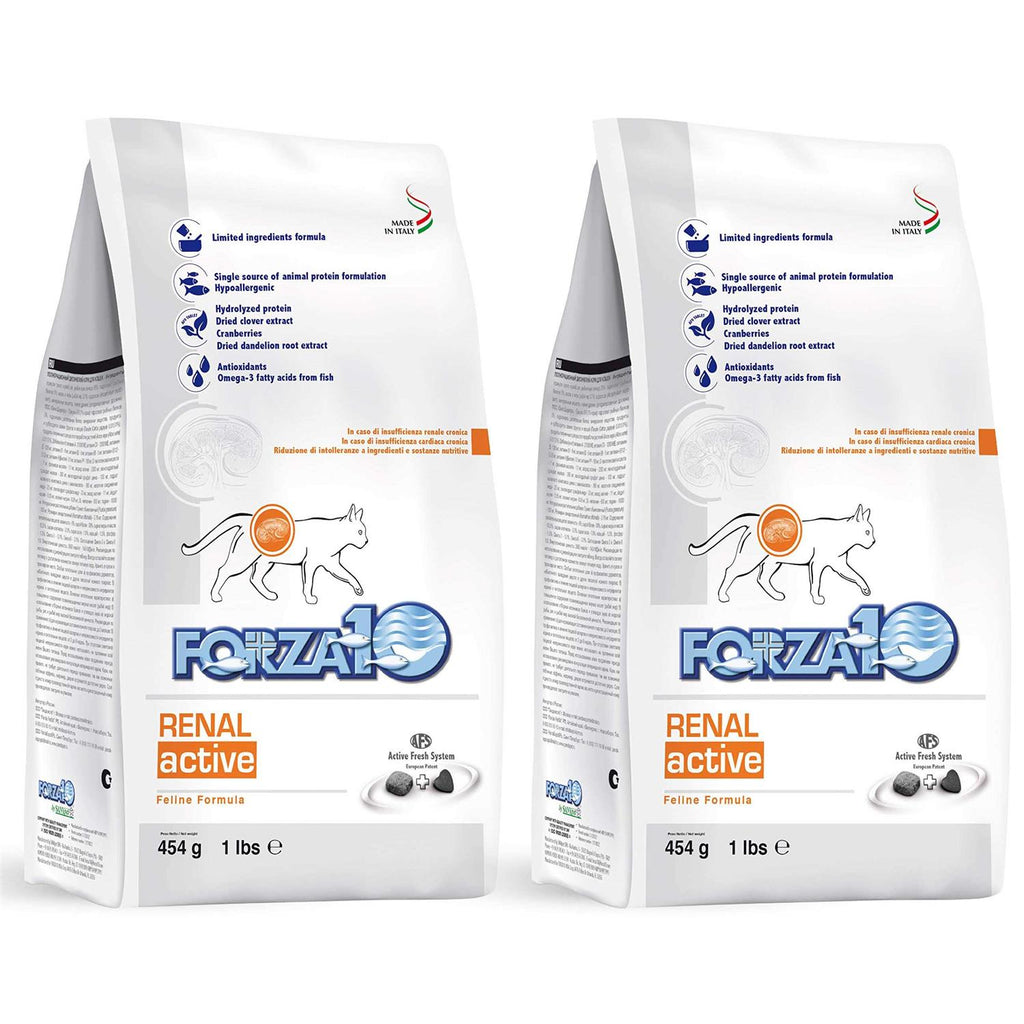 Kidney Support Diet Dry Cat Food T9886