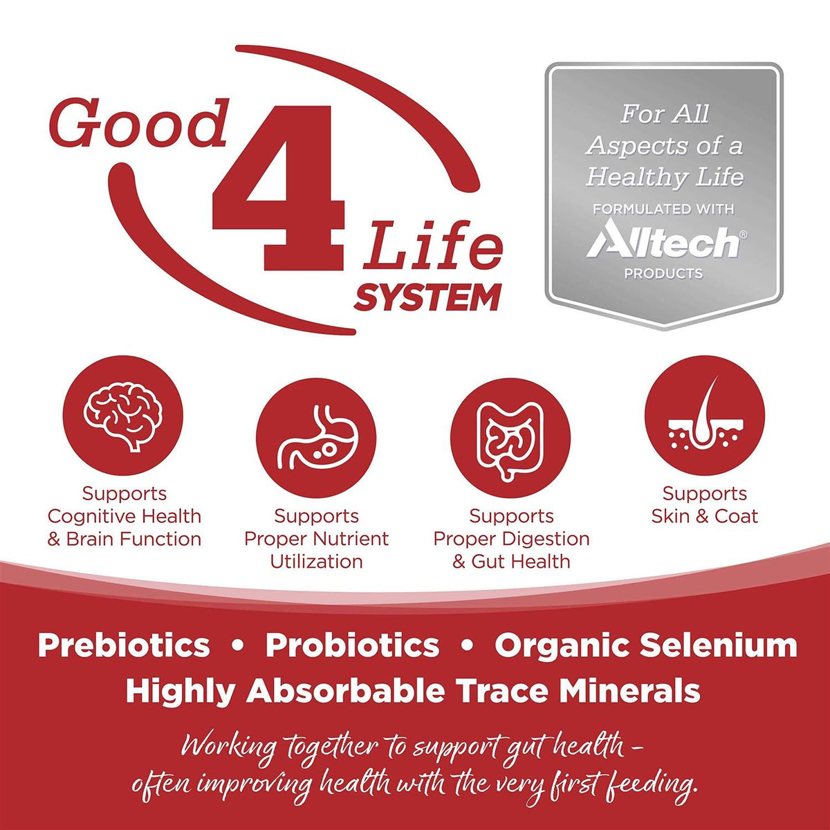 Beef & Red Lentils Grain Free Dry Dog Food Q168