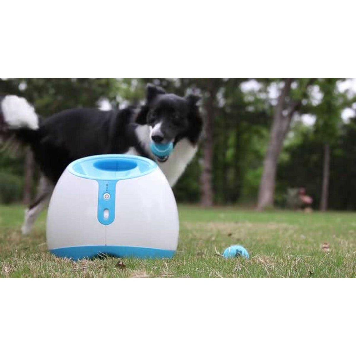 Interactive Ball Launcher Dog Toy Q1134