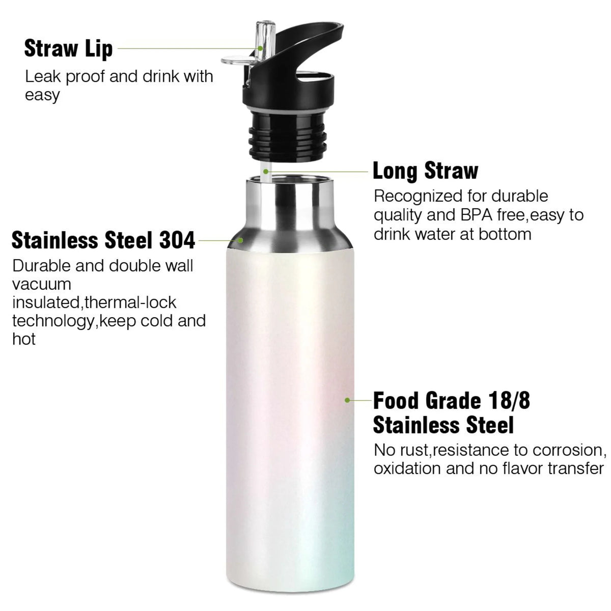 20 OZ Stainless Steel Vacuum Insulated Water Bottle with Straw Lid T235372