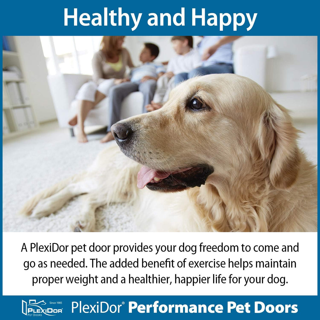 Bronze Small Pet Door with Lock and Key C7383