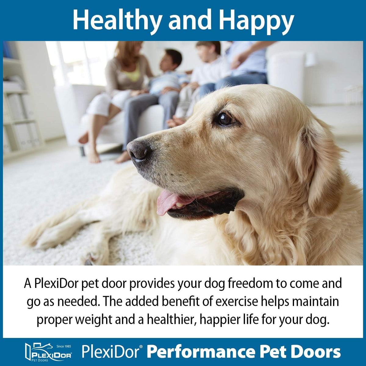 Bronze Small Pet Door with Lock and Key C7383