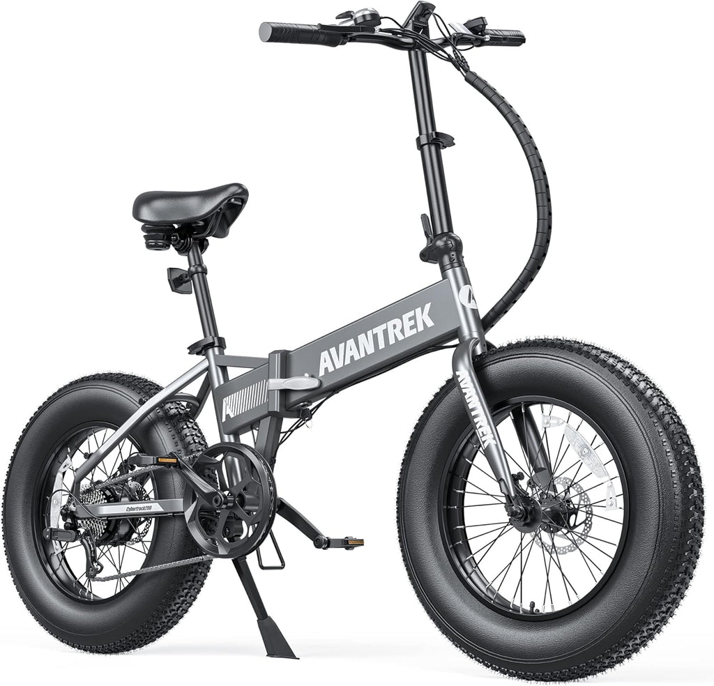 20'' Folding Fat Tire Electric Bike B195937