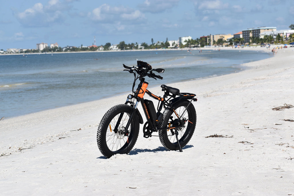 26" 750W Electric Bike Fat Tire 48V 13AH Removable Lithium Battery with Detachable Rear Rack (Black) I198987