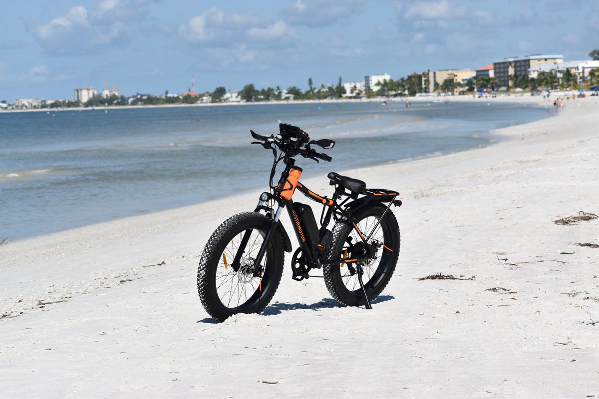 26" 750W Electric Bike Fat Tire 48V 13AH Removable Lithium Battery with Detachable Rear Rack (Black) I198987
