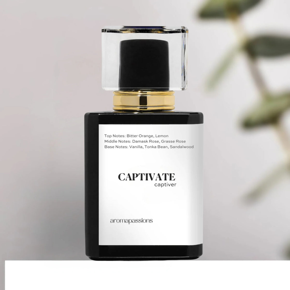 Pheromone Perfume for Women Extrait De Parfum E399