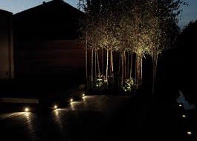 LED Pathway Lights 1W 12V-24V in Ground Well P9447