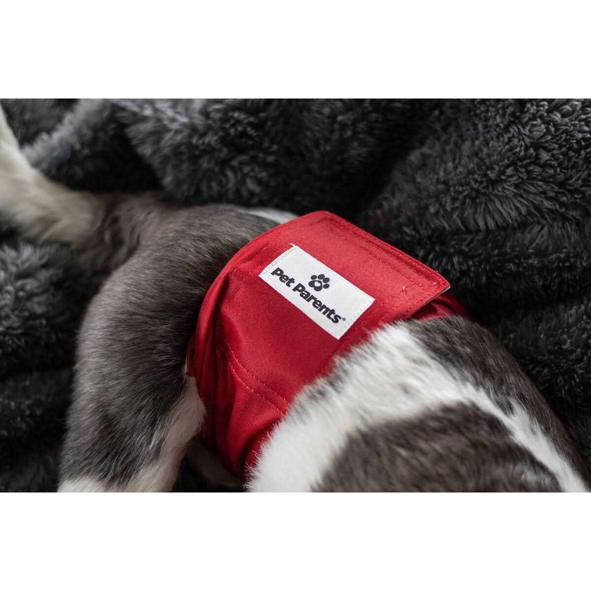 Washable Dog Belly Bands W905702