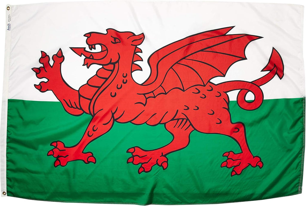 International Flag 5x8' O302139