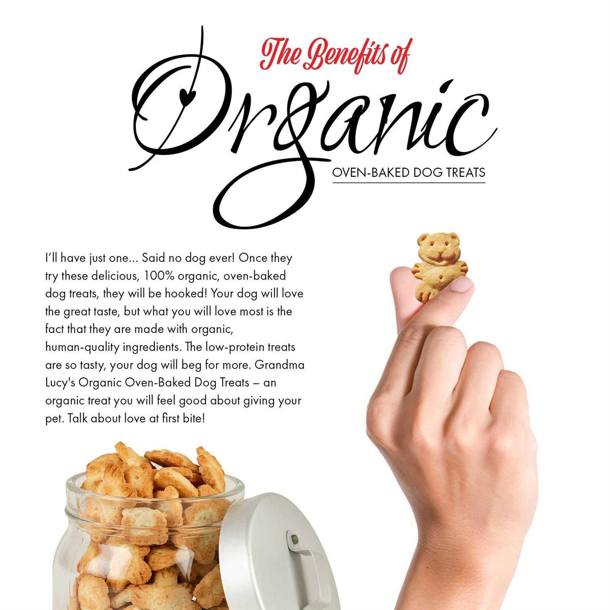 Organic Banana & Sweet Potato Oven Baked Dog Treats S99448
