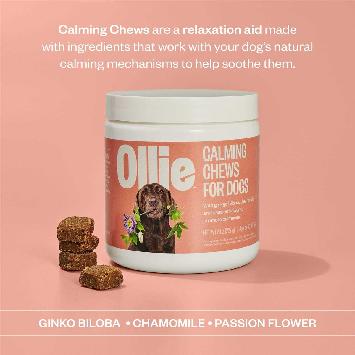 Calming Chews Dog Supplements J594
