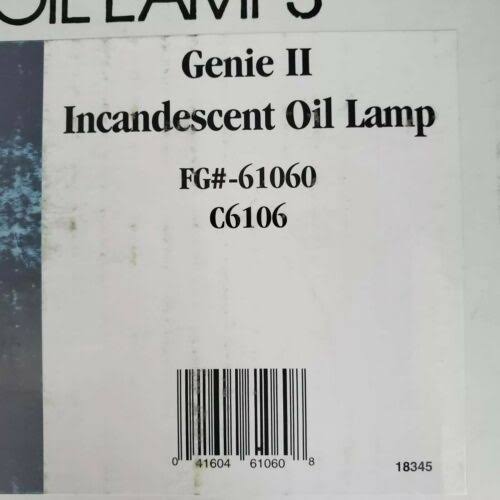 Vintage Blown Glass and Brass Oil Lamp J15516