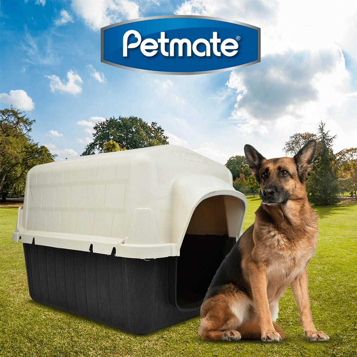 Dog House D957
