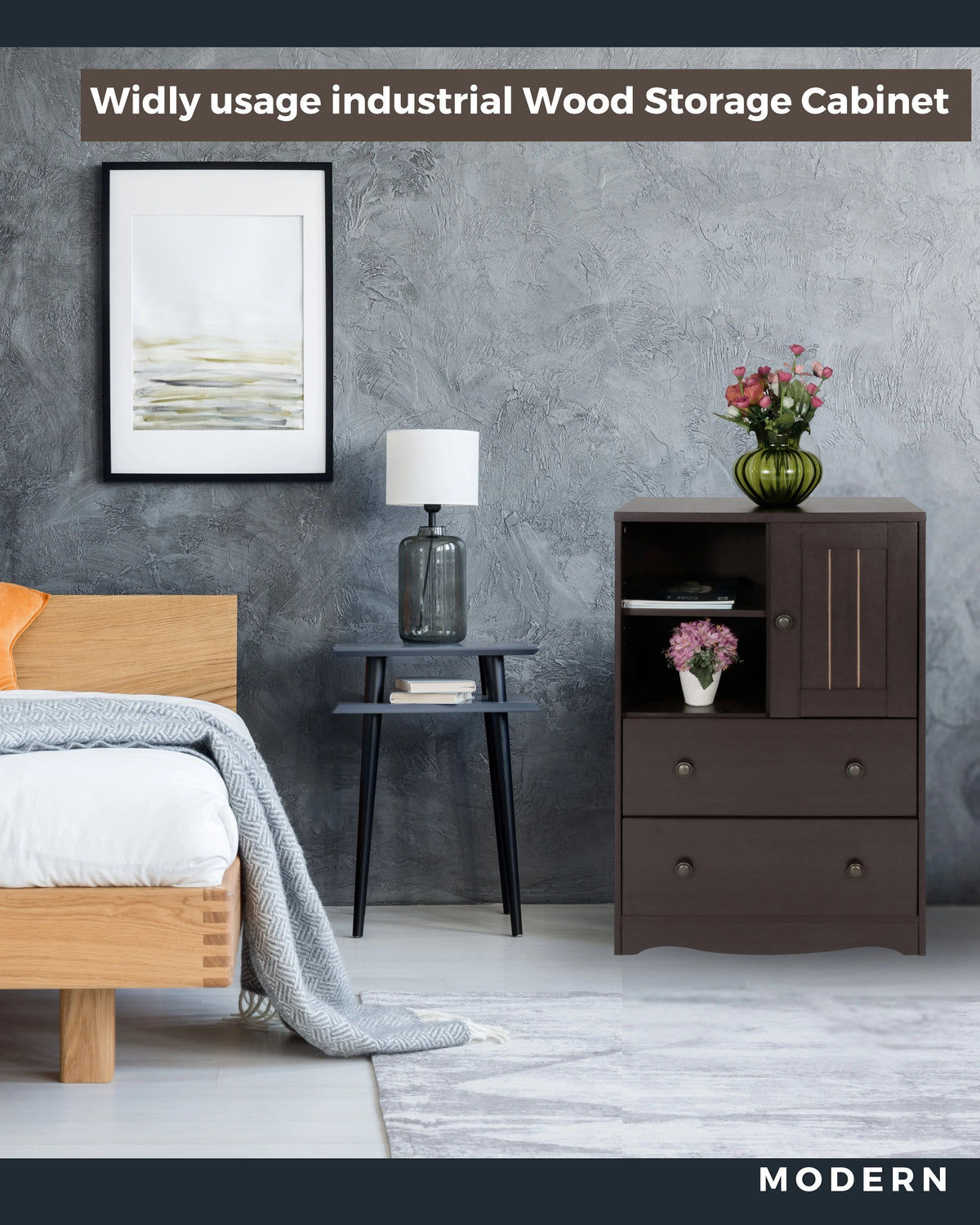 Dark Brown Storage Cabinet with 2 Drawers Q992621