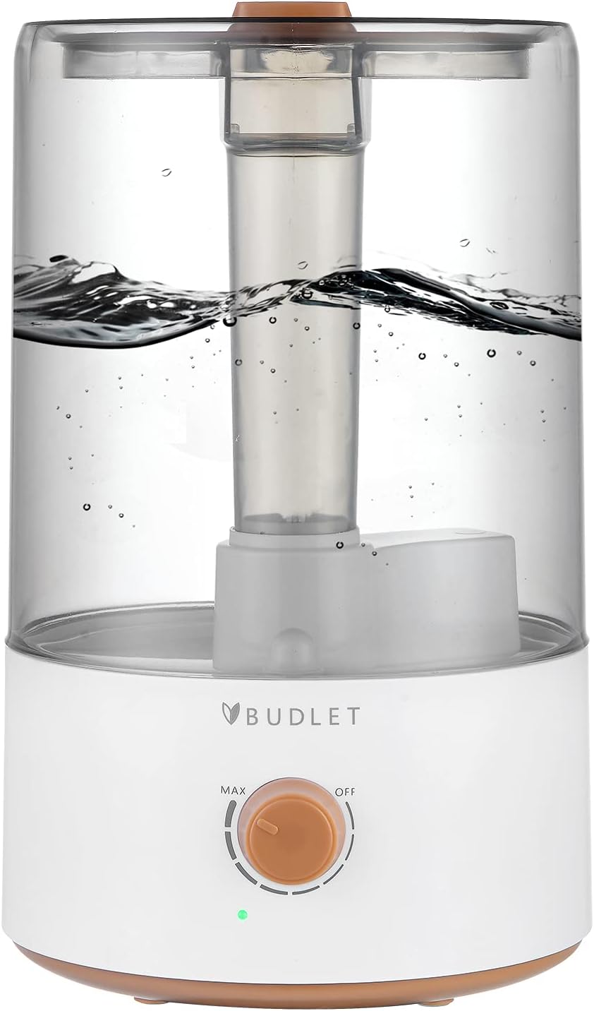 4.8L Cool Mist Humidifier with Timer and Water Purification Filter R3902