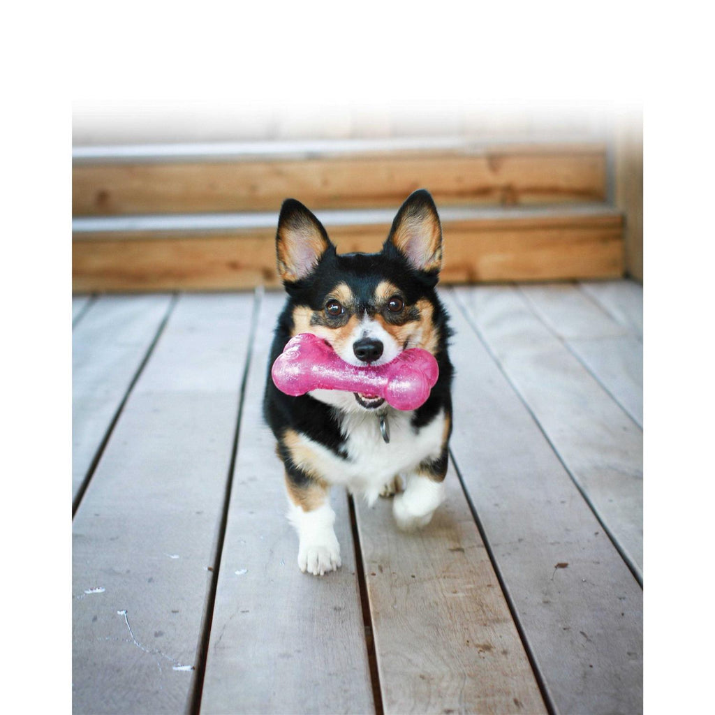 Dog Bone J74386