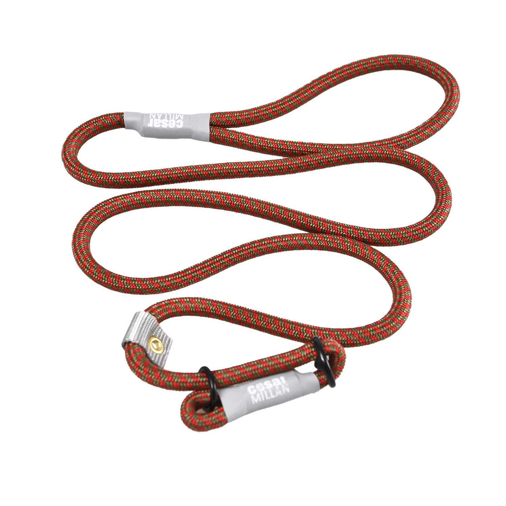 2-in-1 Slip Collar Dog Training Lead & Collar T586