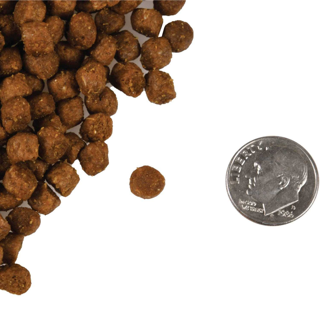 Four Star Cat Food Q67993