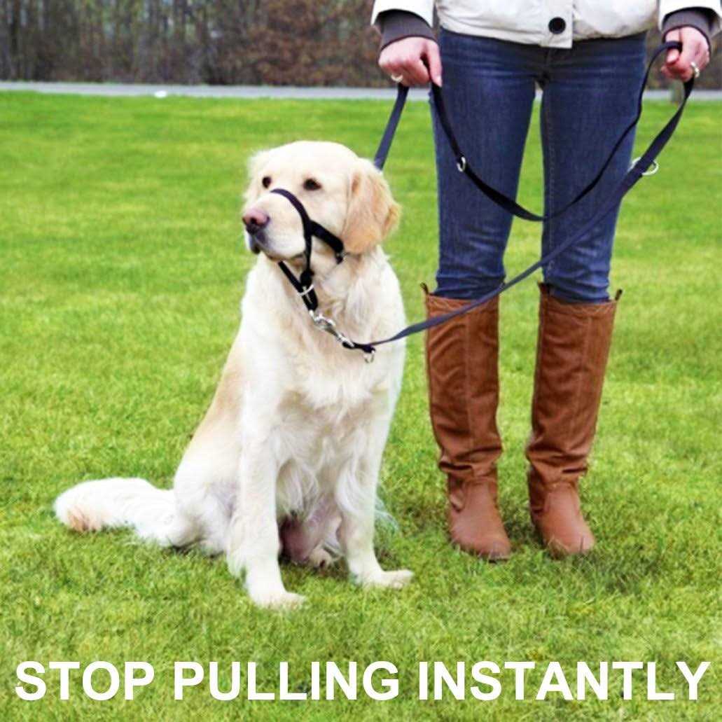 Dog Head Collar No Pull Training Tool L5763