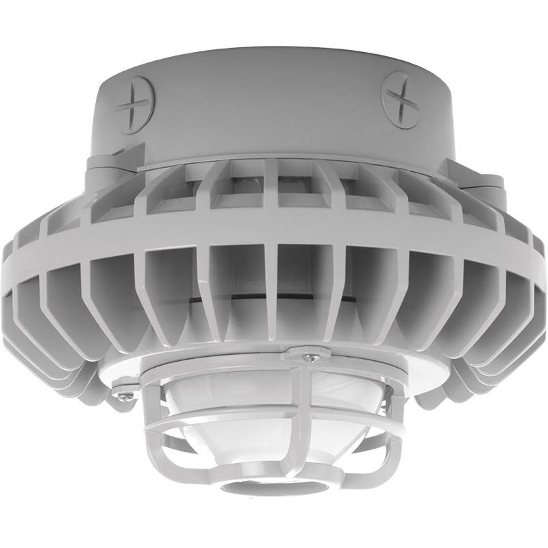 Cool LED Ceiling Frosted Globe Die Cast Guard Gray N650581
