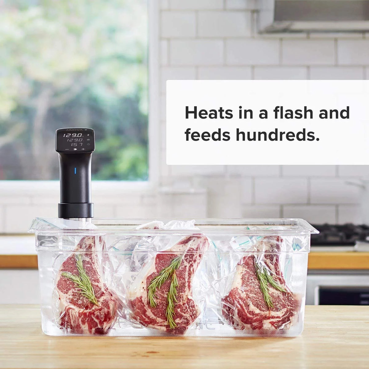 Sous Vide Precision Cooker 1200 Watts Black and Silver P3595