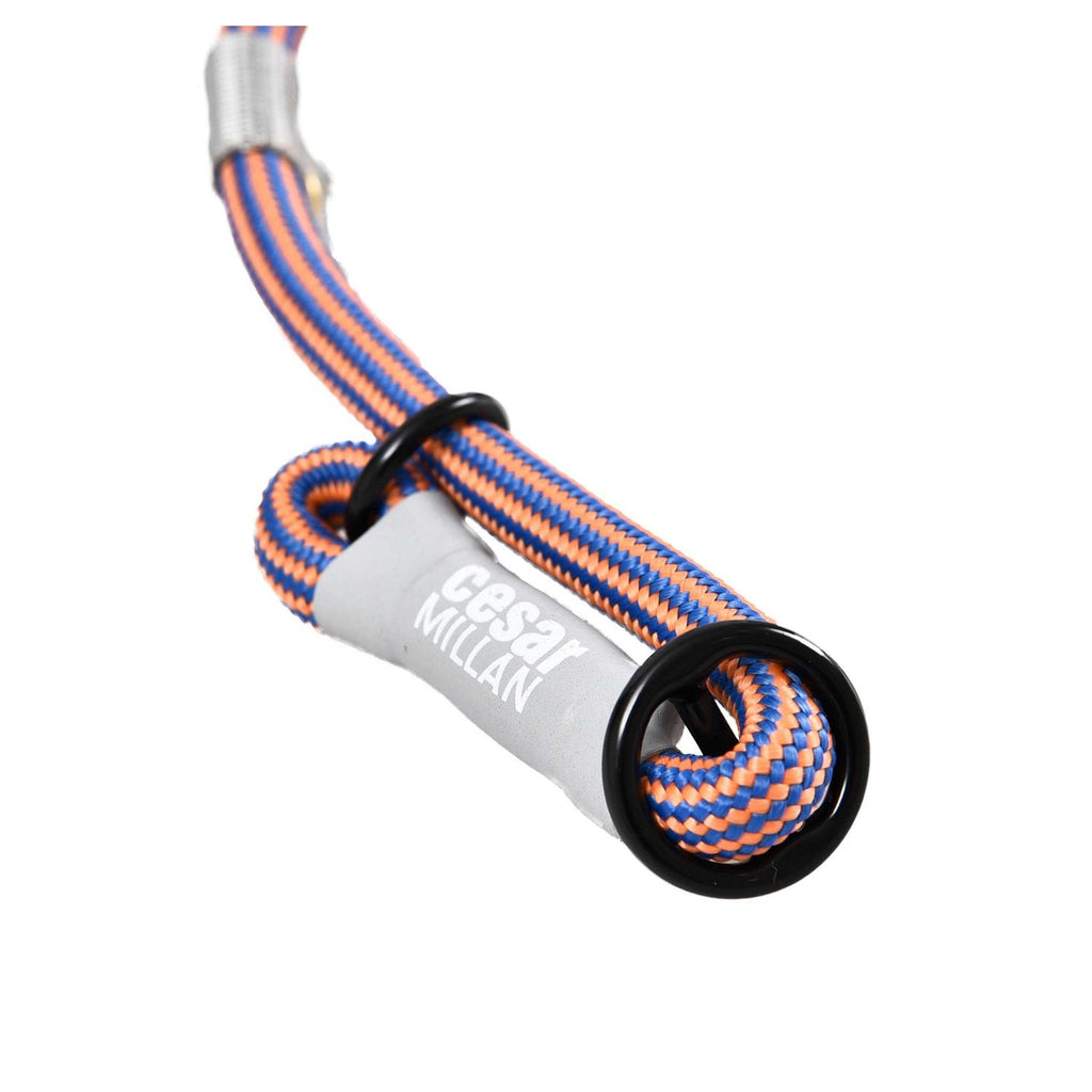 2-in-1 Slip Collar Dog Training Lead & Collar T586