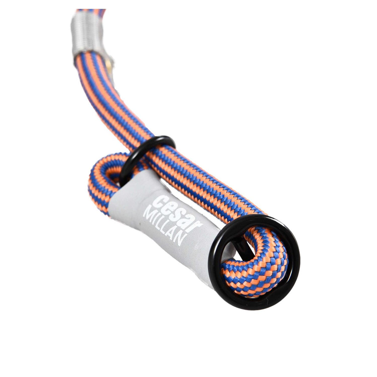 2-in-1 Slip Collar Dog Training Lead & Collar T586