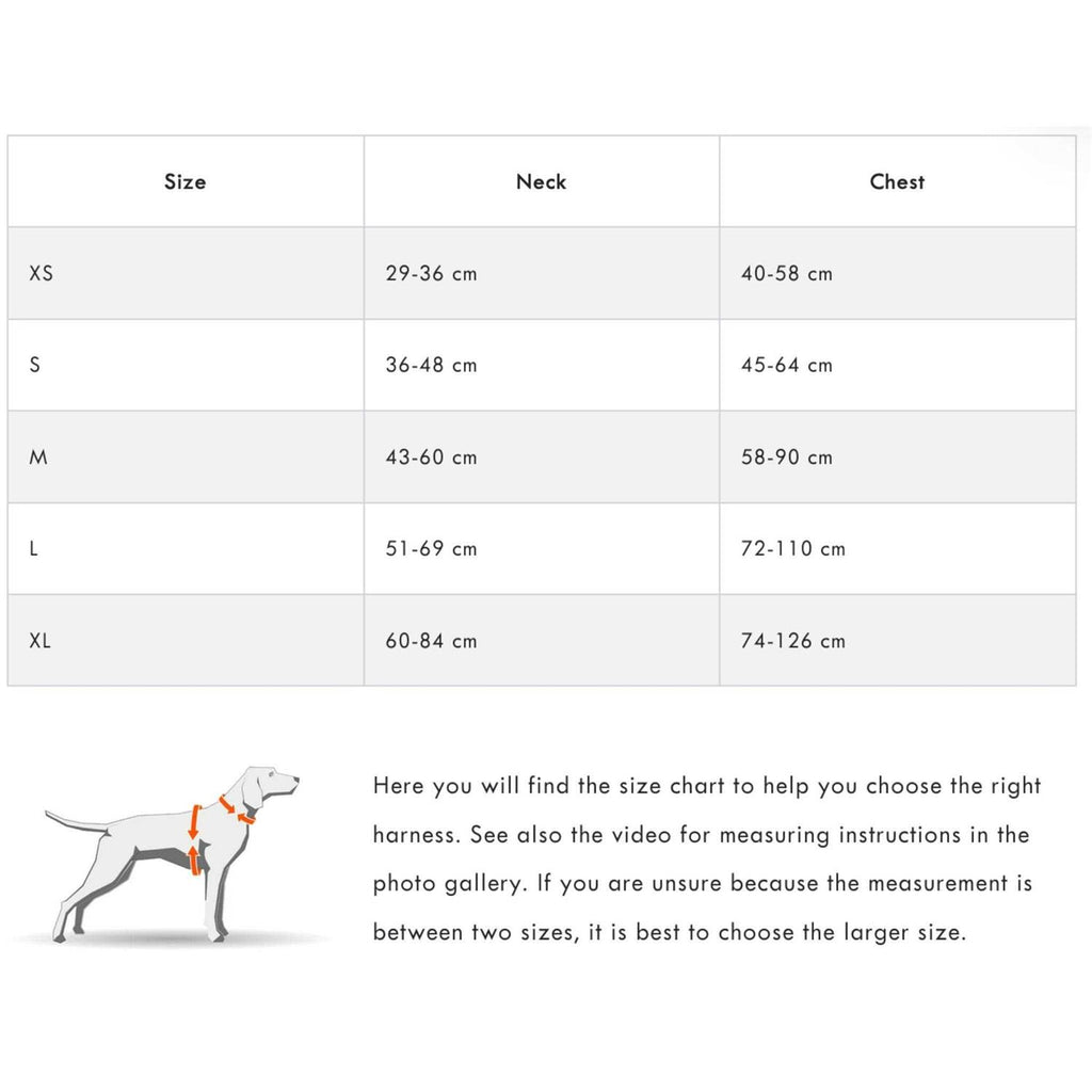 Dog Harness J76512