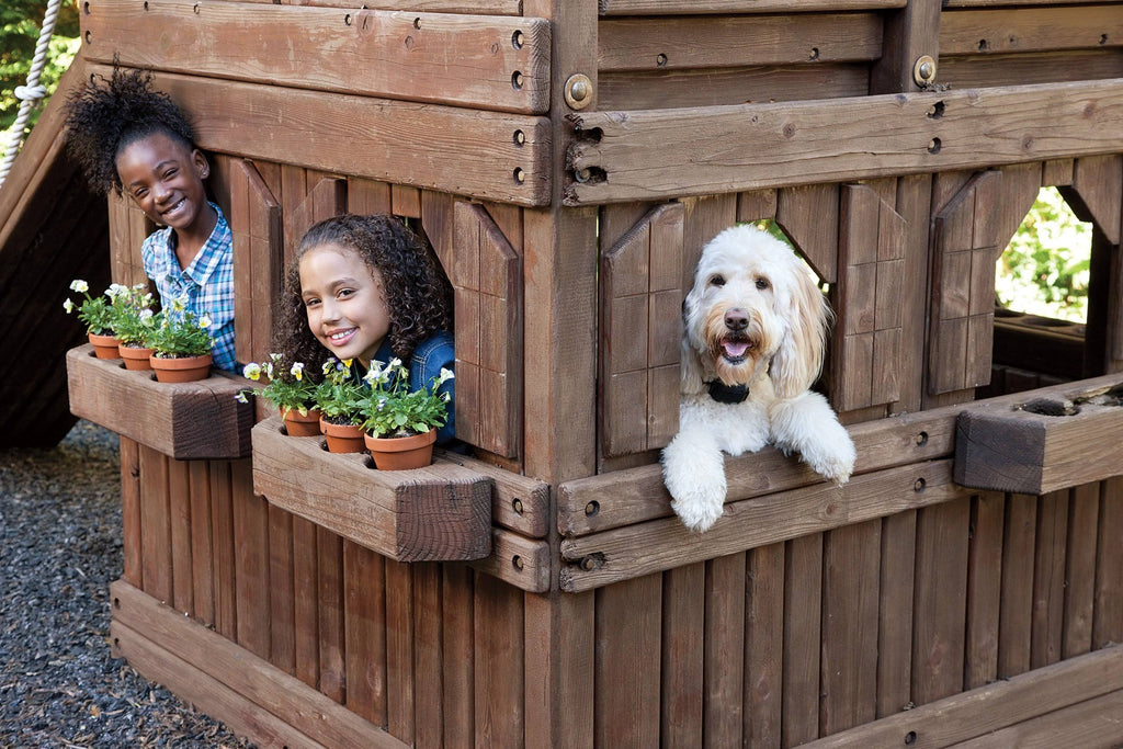 Rechargeable In-Ground Fence for Dogs and Cats N872221