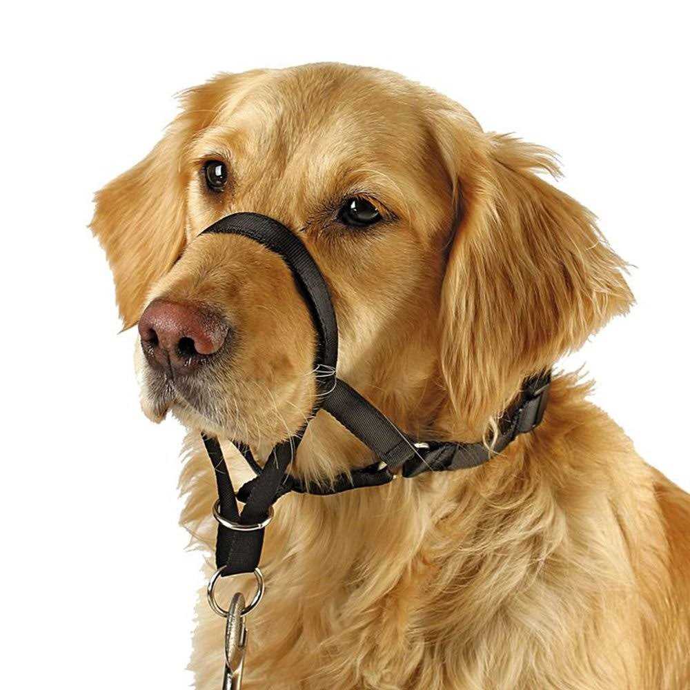 Dog Head Collar No Pull Training Tool L5763