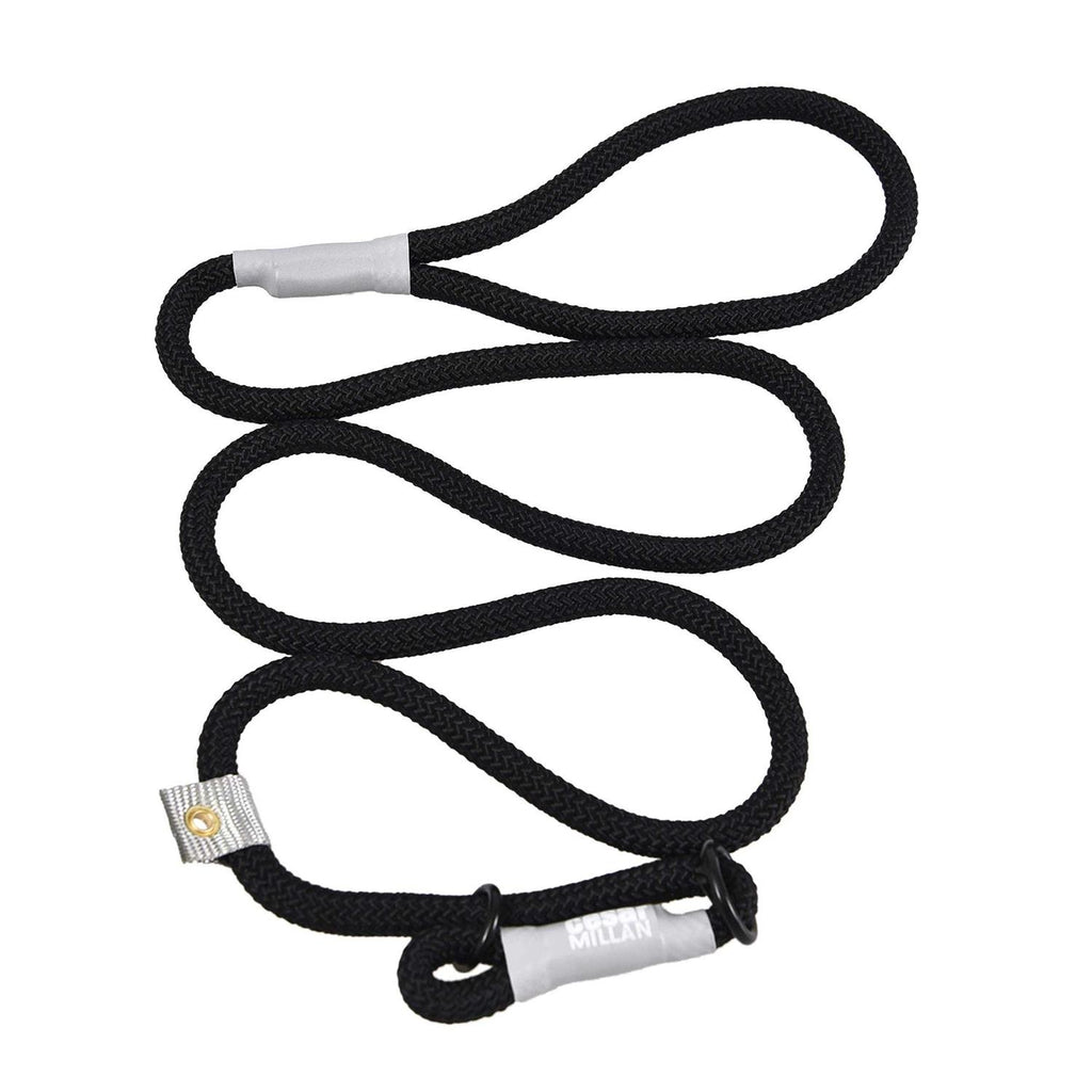 2-in-1 Slip Collar Dog Training Lead & Collar T586