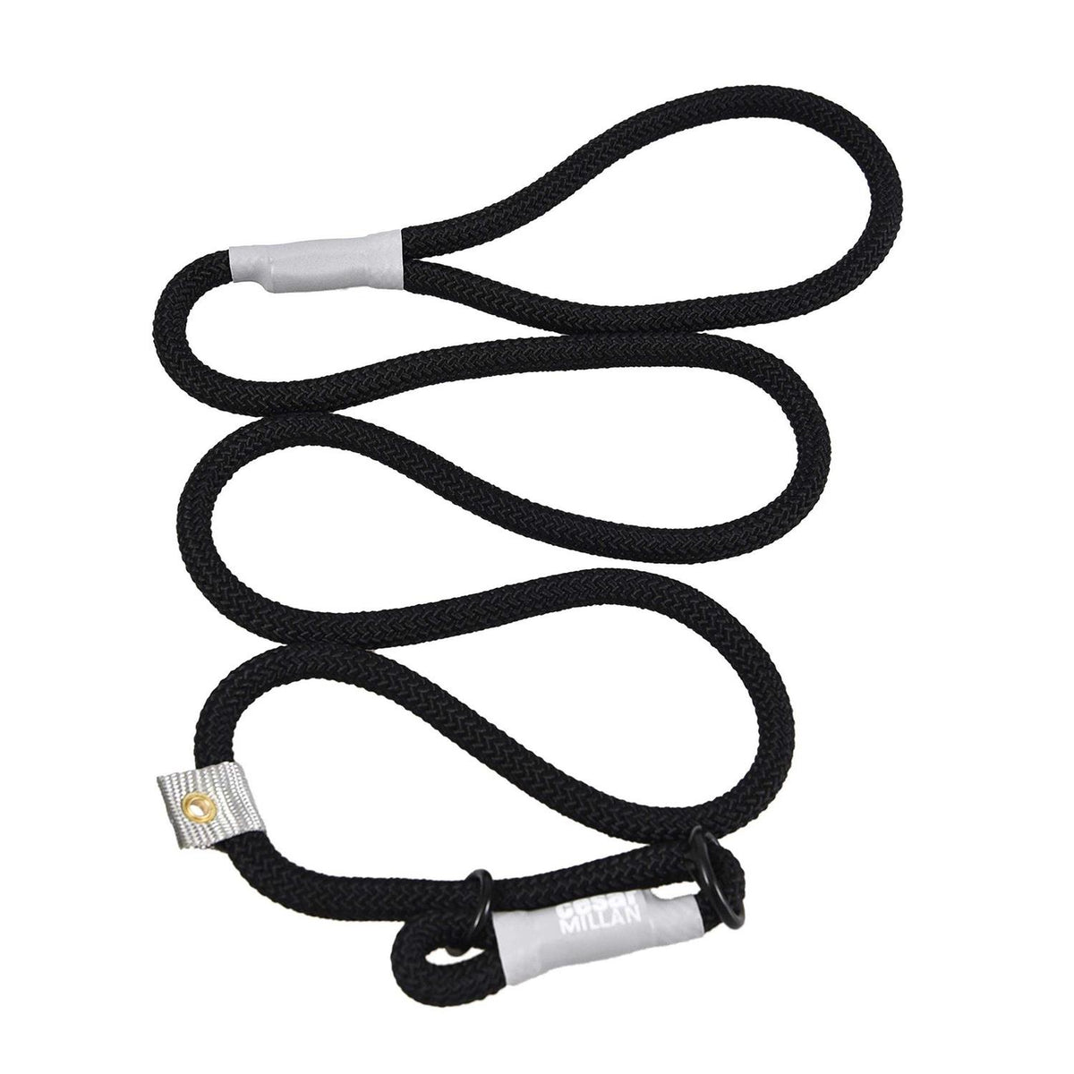 2-in-1 Slip Collar Dog Training Lead & Collar T586